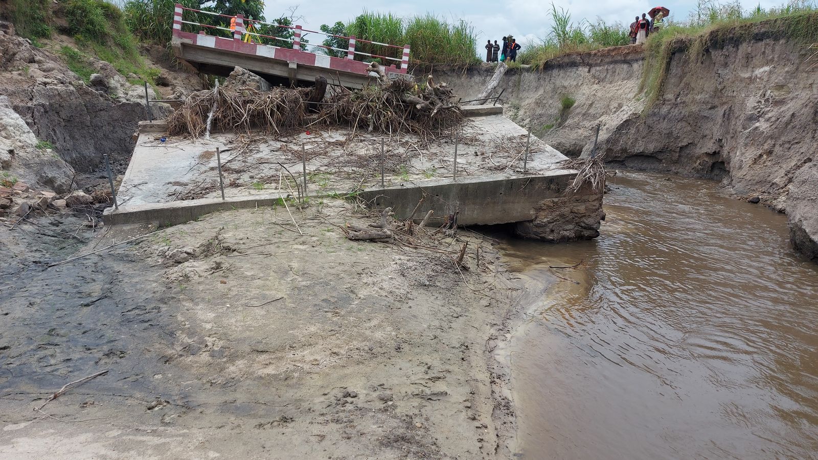 Savana Bridge Forensic Structural Engineering