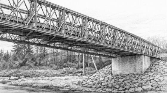 Bridge Design Optimization