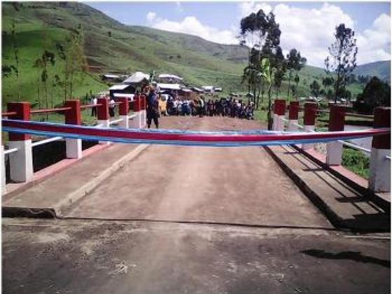50 RC Bridges and 1 Bayley’s Bridge, photo 3