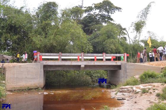 50 RC Bridges and 1 Bayley’s Bridge, photo 4