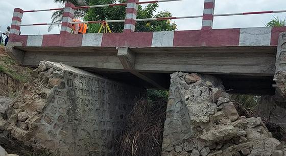 Savana Bridge Forensic Structural Engineering, photo 3