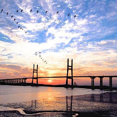 Seohae Grand Bridge, photo 3