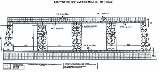 Shange Bridge Forensic Structural Engineering, photo 4